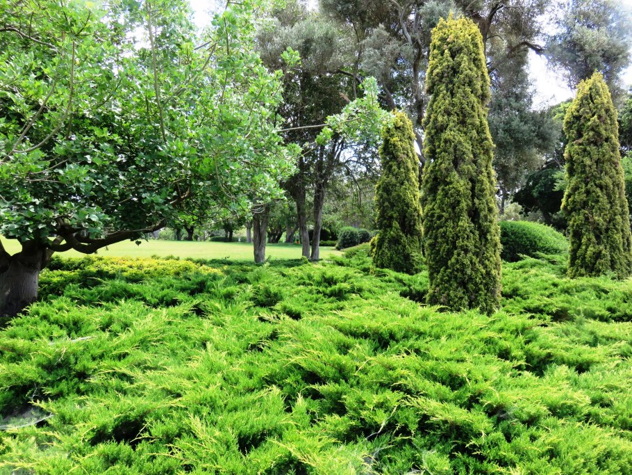 Кабардино-Балкарский высокогорный заповедник Флора
