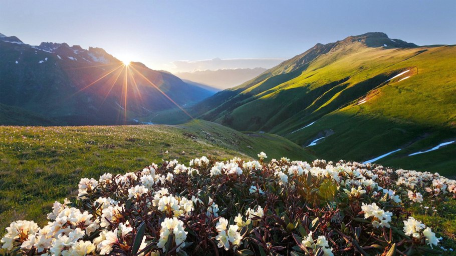 Флора Урала