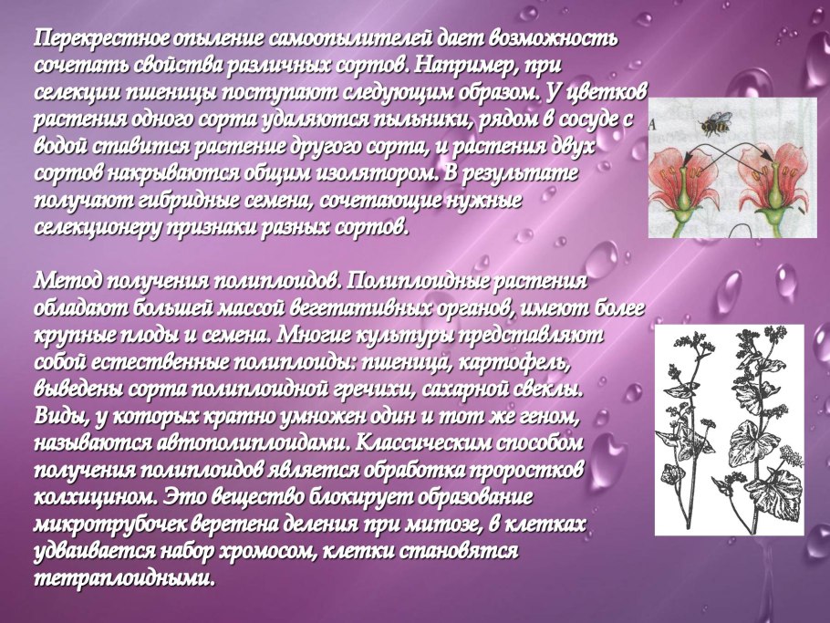 Приспособления для распространения плодов таблица