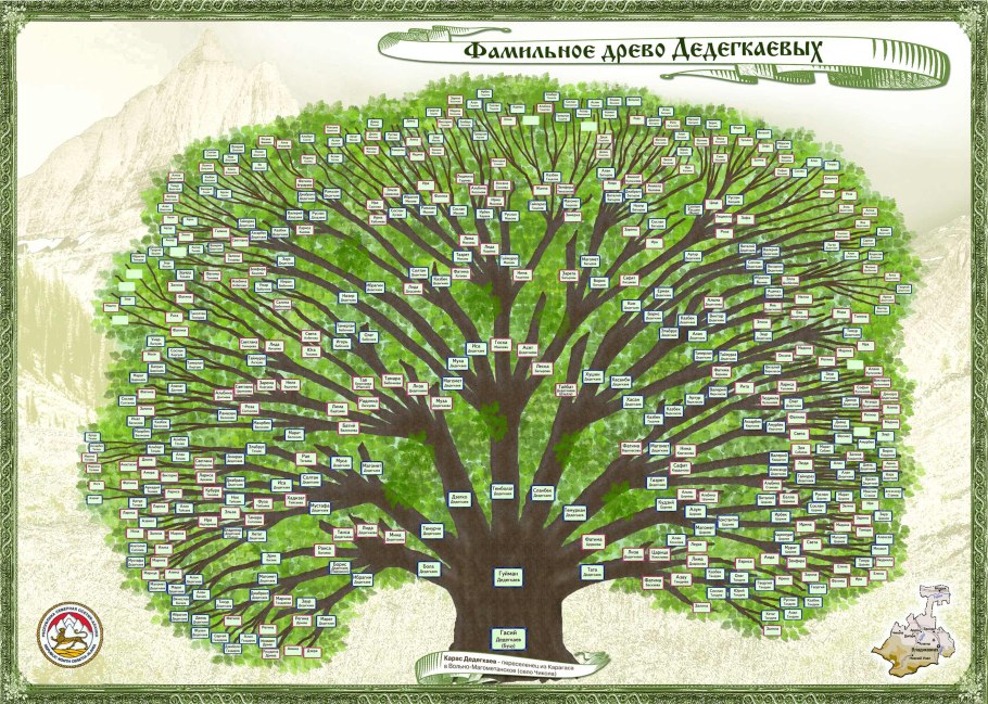 Вечнозеленый дуб в Японии