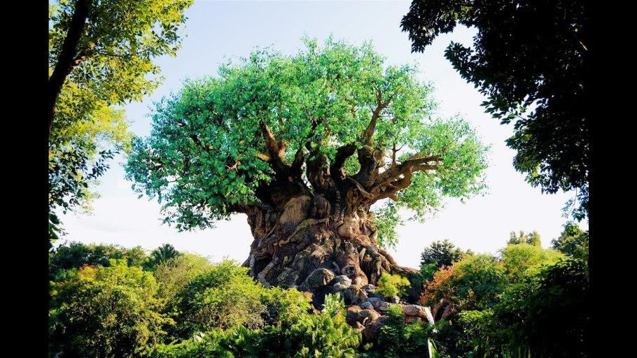 Птушкин секвойи