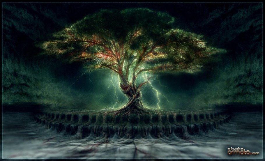 Гигантский эвкалипт