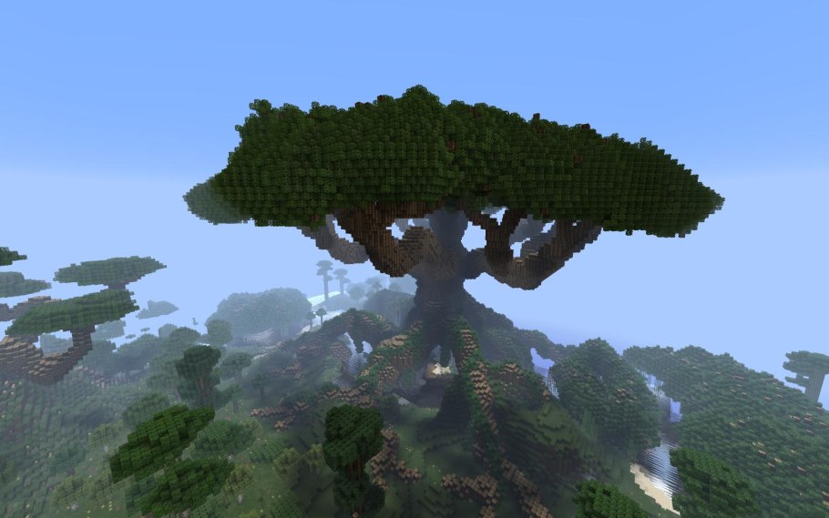 Баобаб бутылочное дерево