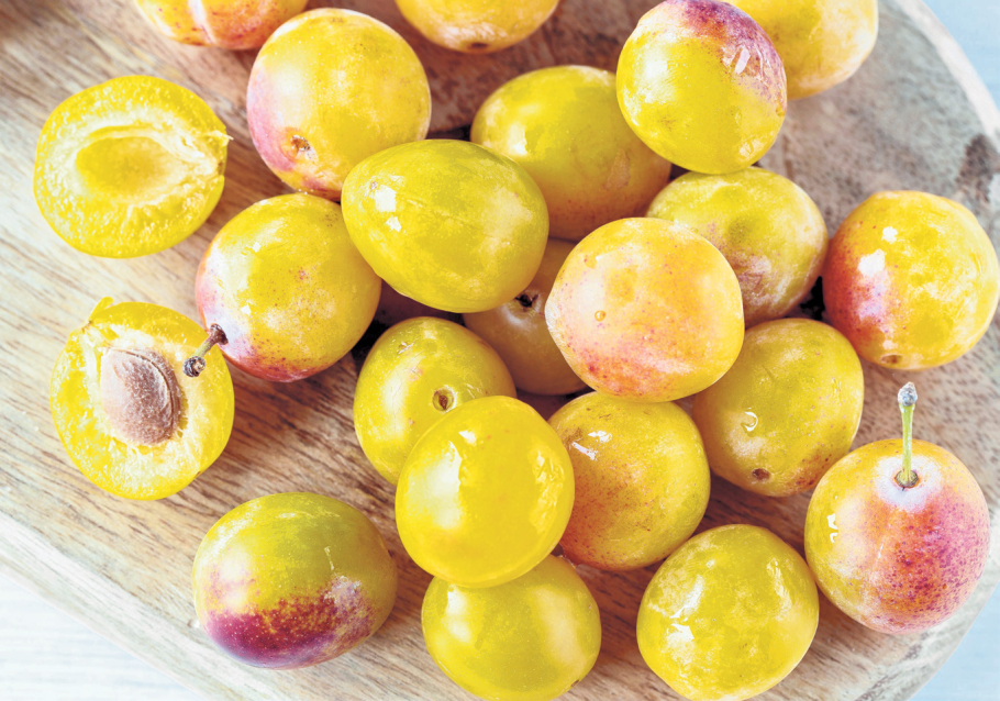 На плодах сливы выступает прозрачная жидкость