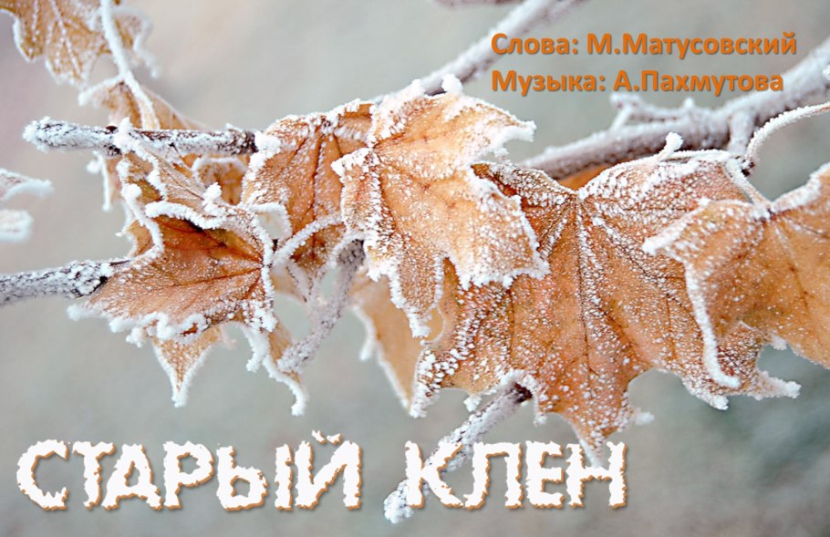 Дерево Чинар Вуадиль