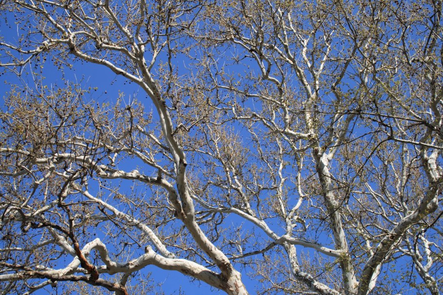 Февральский пейзаж