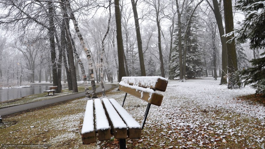 Царицыно осень слякоть