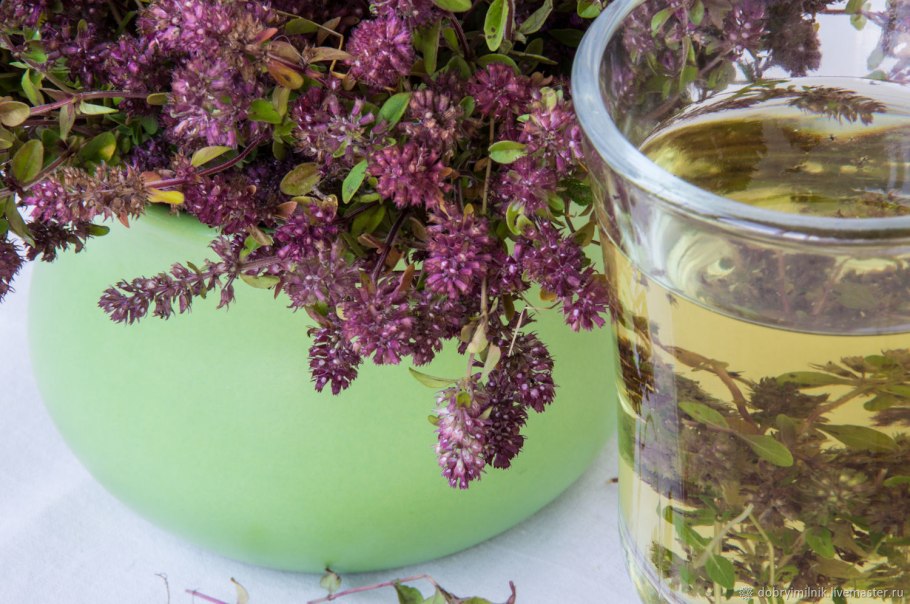 Чабрец вектор