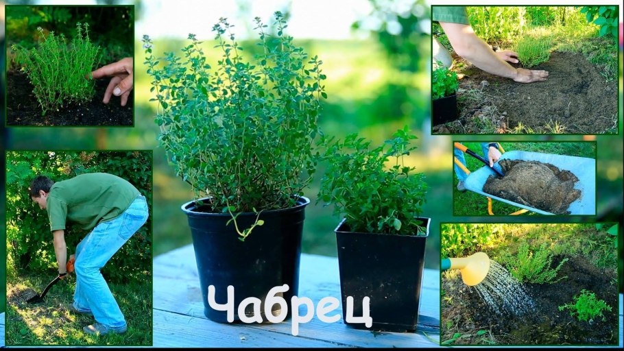 Голопопим в пять лет ню