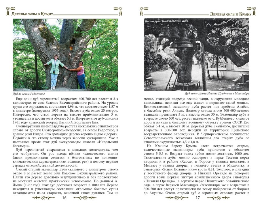 Беловежская пуща царь дуб