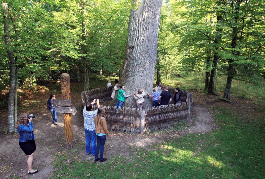 Дуб черешчатый ареал