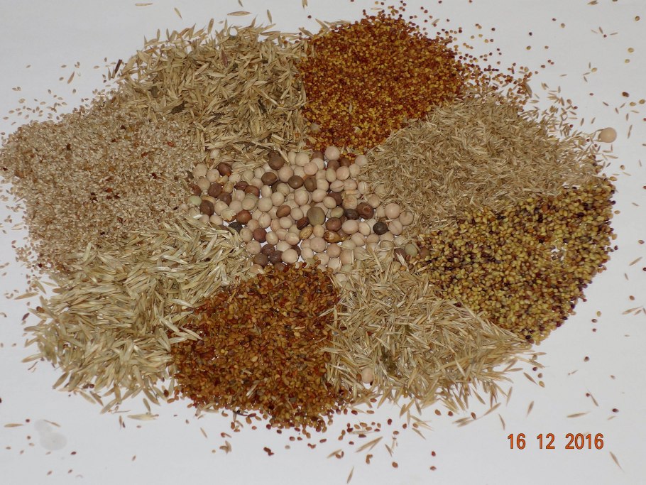 Семена травосмеси многолетних трав