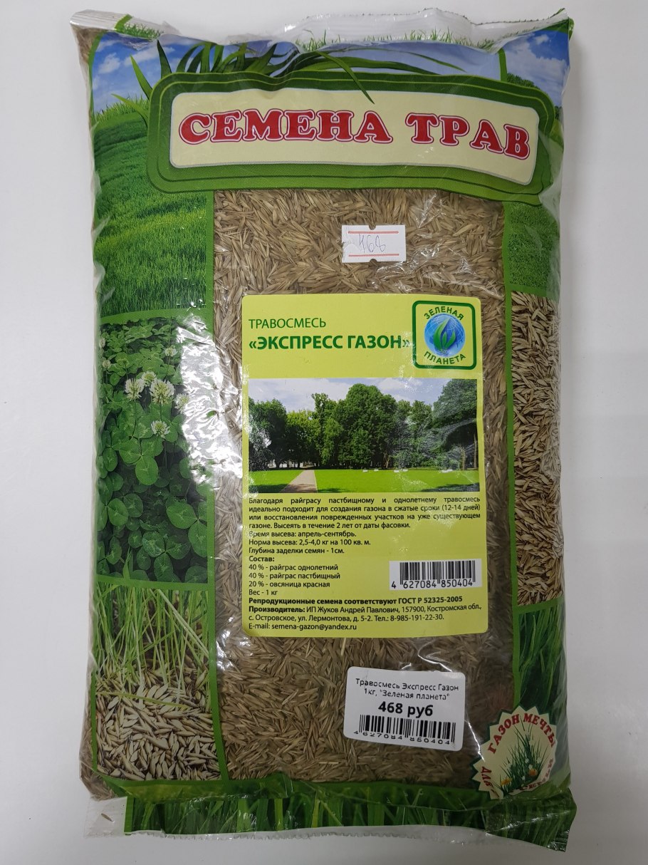 Трава овсяница Луговая