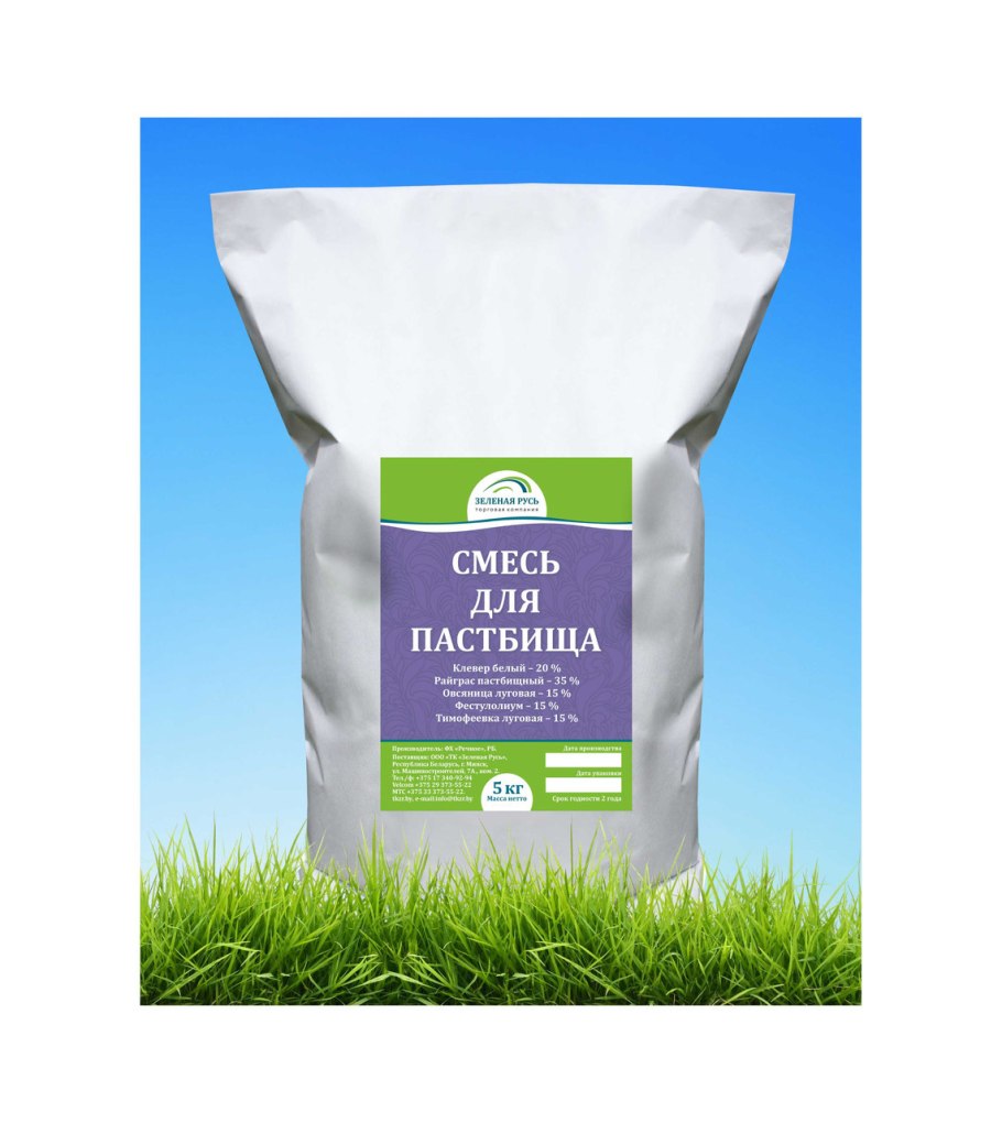 Астильба Арендса Шоустар