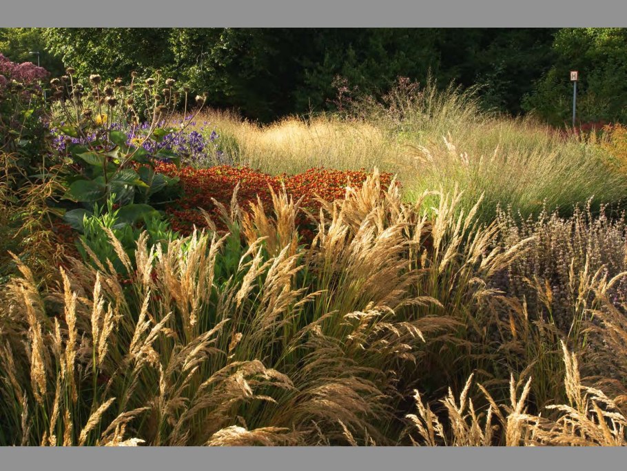 Пит Удольф ландшафтный дизайнер