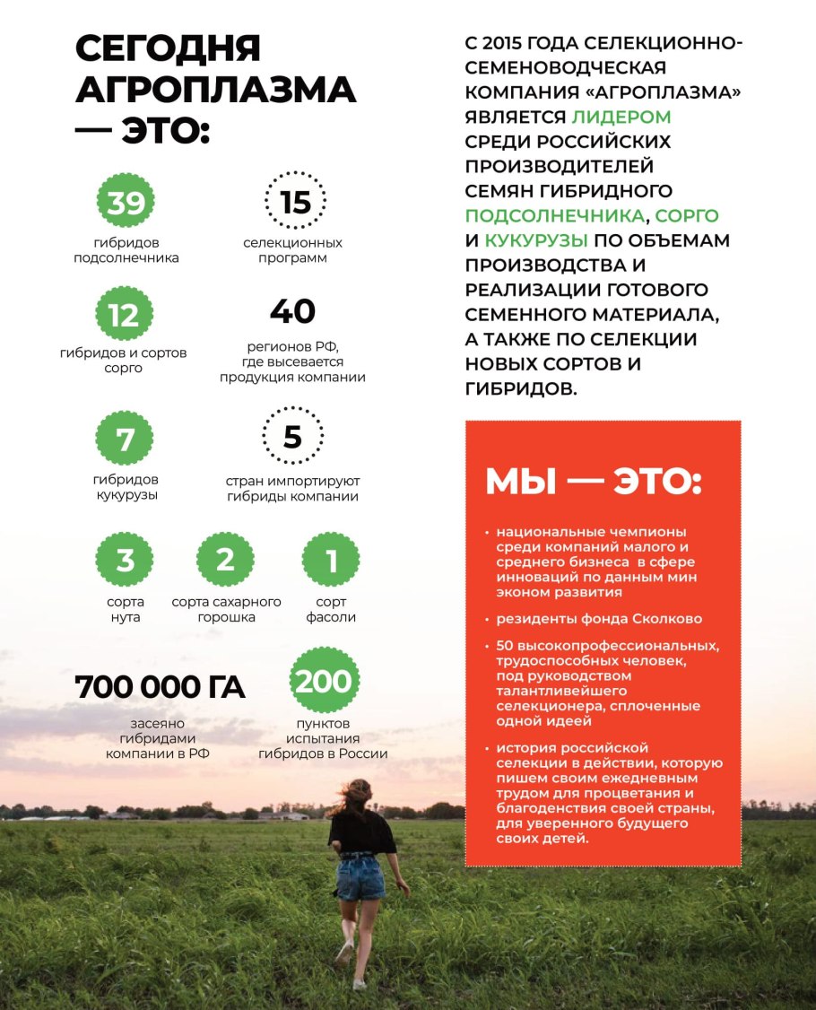 Семена подсолнечника Агроплазма