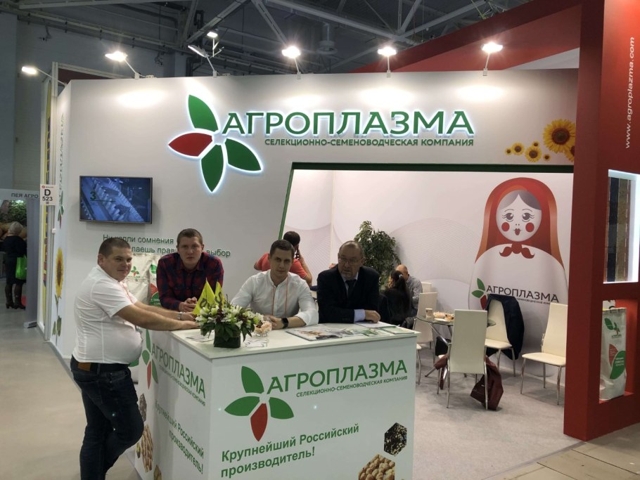 Семечки подсолнечника фабрика