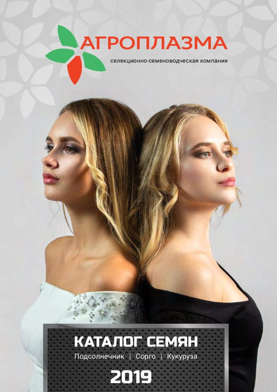 Подсолнечник сорт богучарец