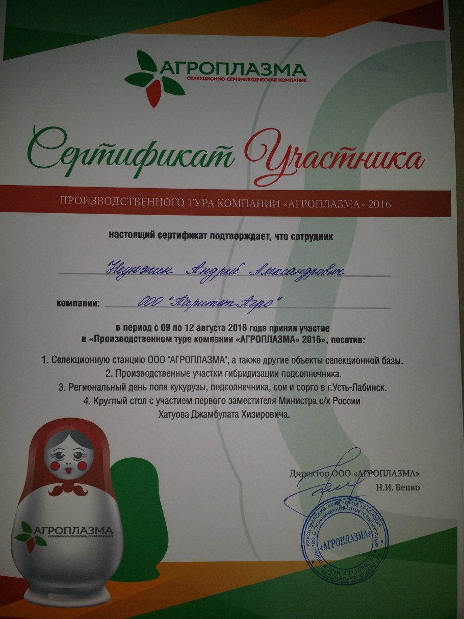 Гибрид Светлана подсолнечник