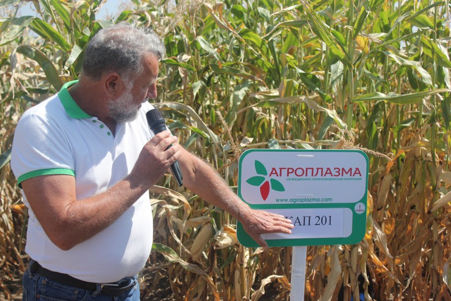 Краснодар Агроплазма официальный сайт