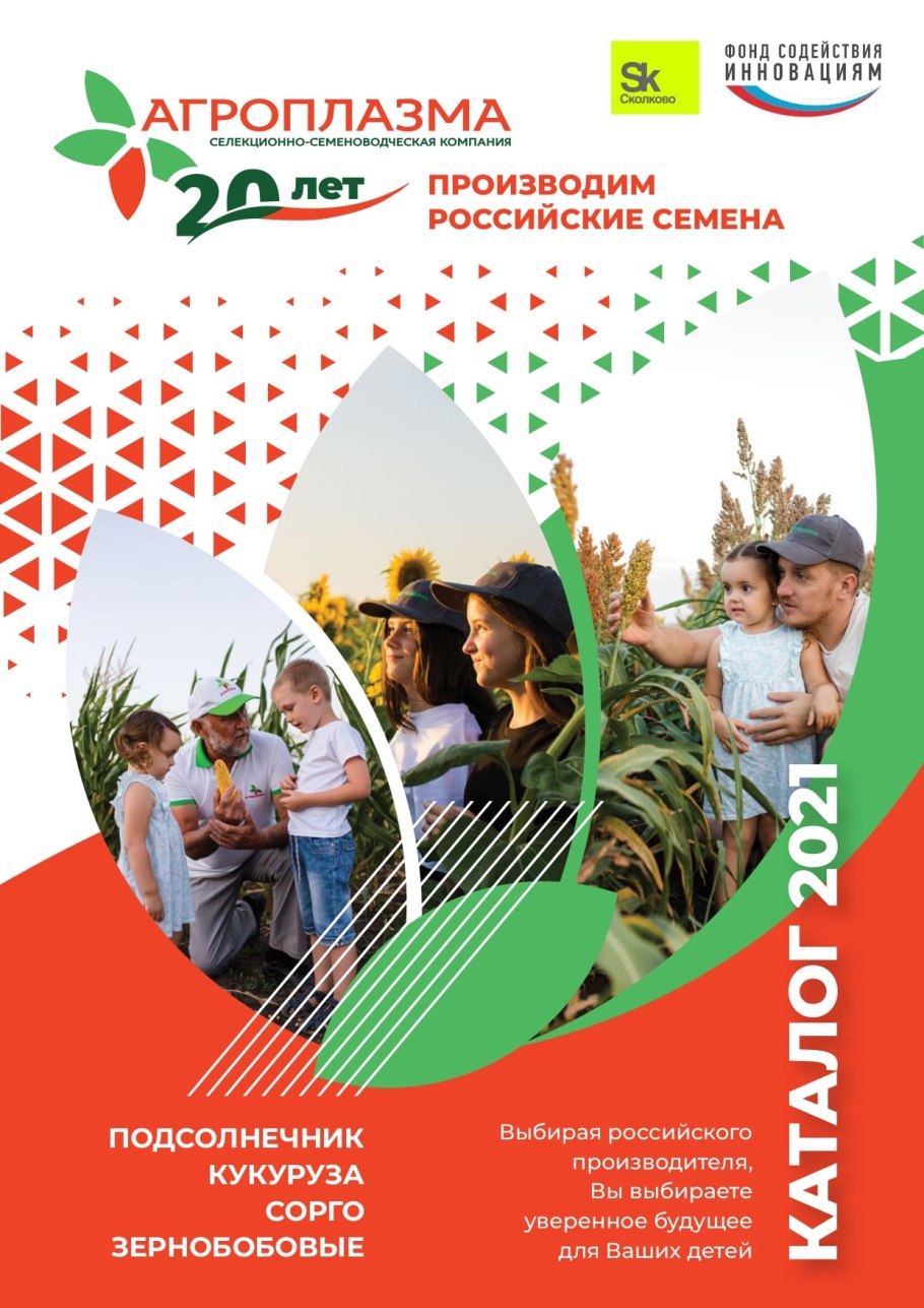 Семена подсолнечника Гусар Агроплазма