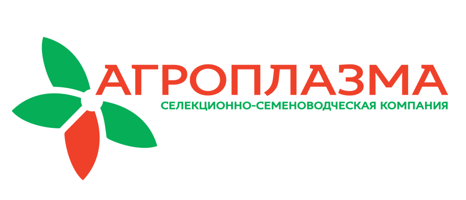 Подсолнухи HD