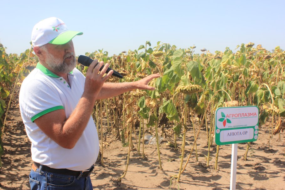 Агроплазма Корягин