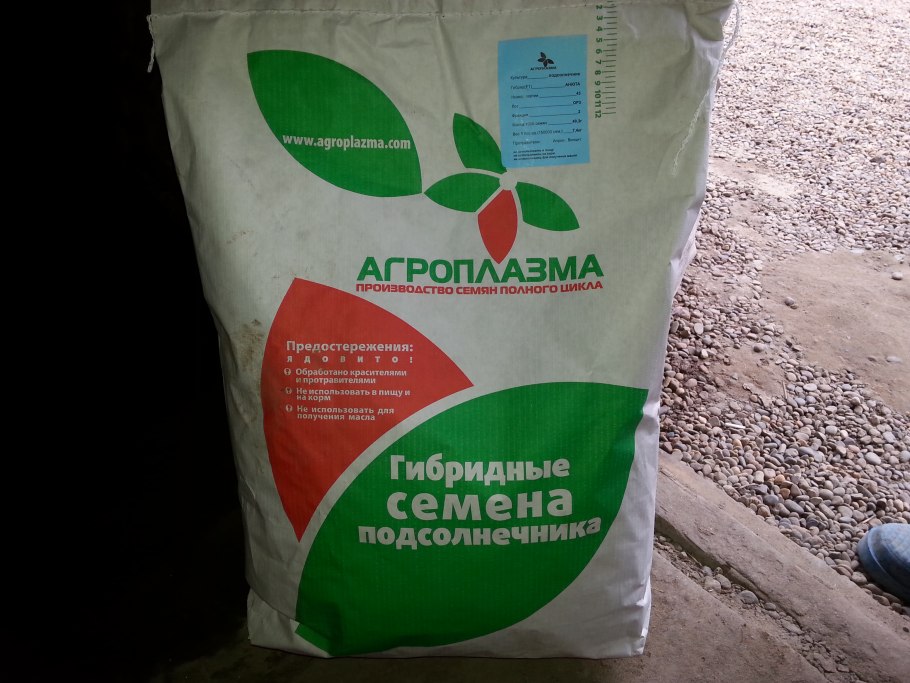 Агроплазма семена