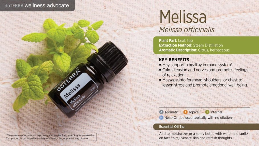 Целебные свойства лимонной мяты мелиссы