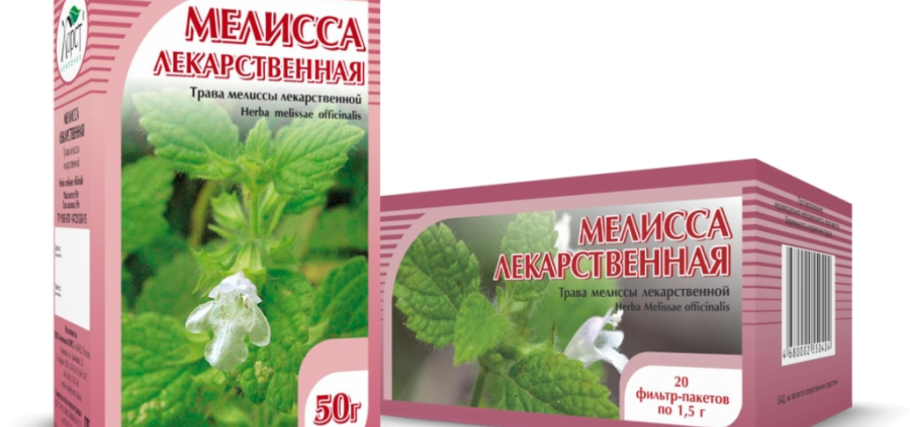 Мята остролистная