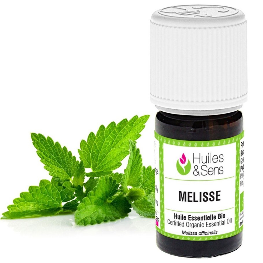 Мелисса лекарственная лимонный аромат