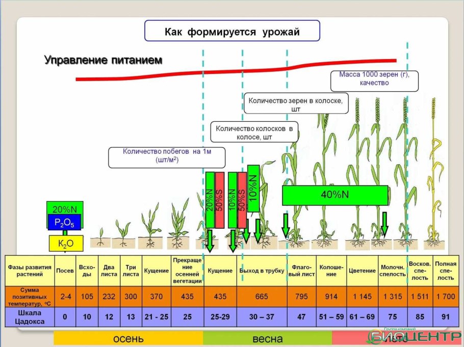 Экологический и географический критерии