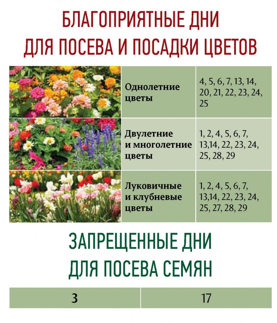 Печеночники и листостебельные мхи