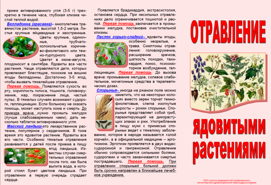 Крушина и Бузина