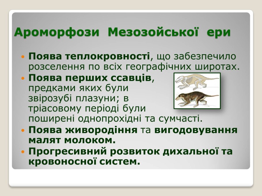 Бигуди BABYLISS Pro babts6gse