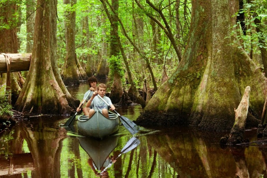 The Vanishing at Caddo Lake фильм