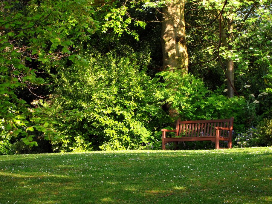 Скамейка на природе