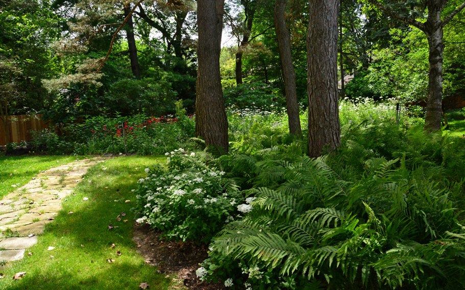 Лесная тропинка Крамской