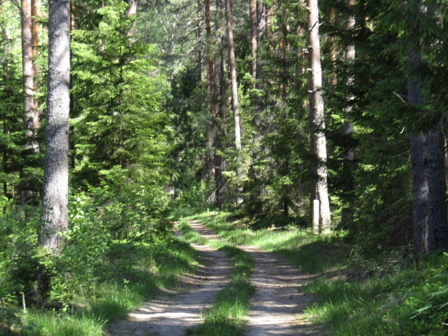 Стиль натургарден в ландшафтном