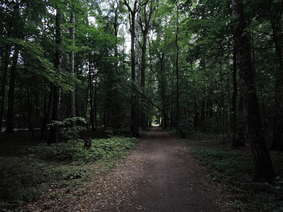 Парк Битцевский лес