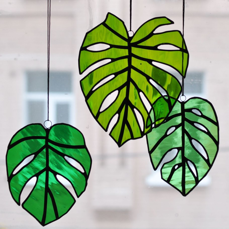 Монстера ланиата