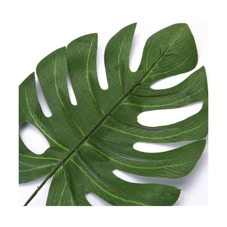 Филодендрон Вайт Вейв