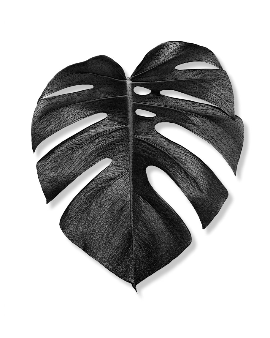 Тропические листья на розовом фоне