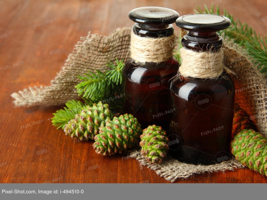 Пихта Нордмана шишки