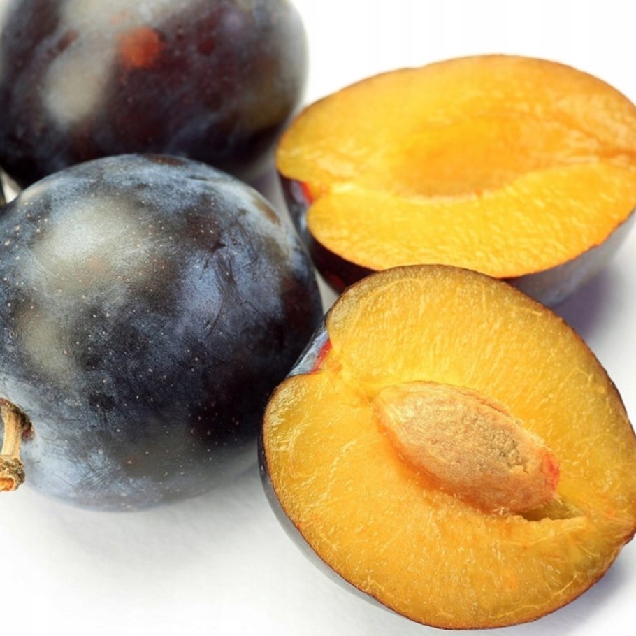 Дёрн кустарник ягоды