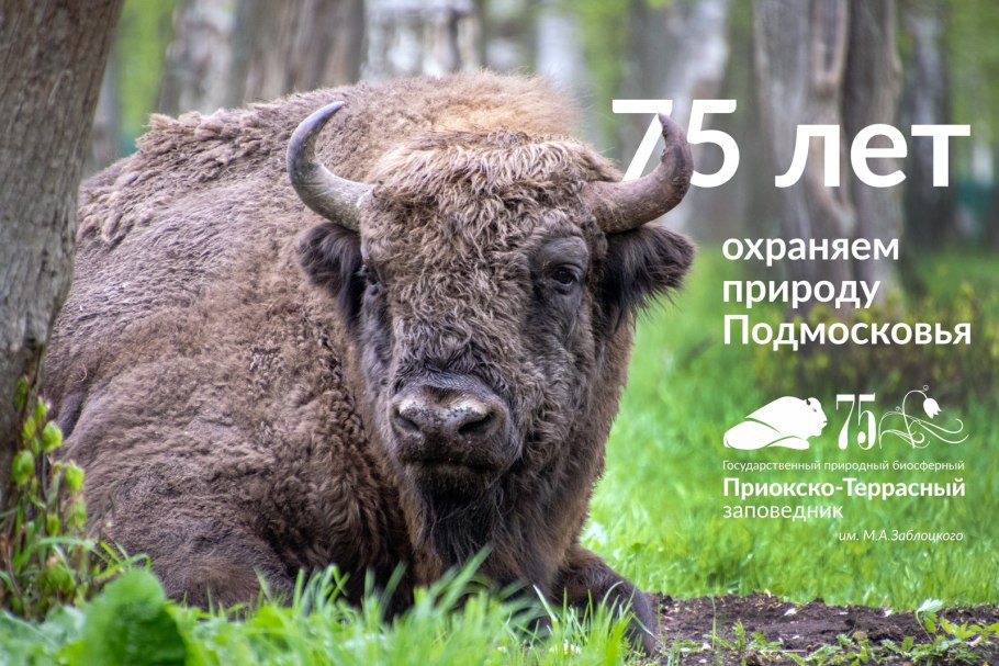 Приокско-Террасный заповедник