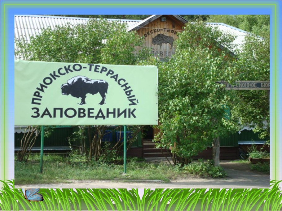 Зубровый питомник Приокско-террасного заповедника