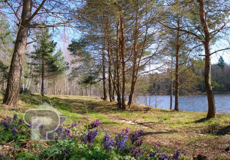 Приокско-Террасный заповедник Флора