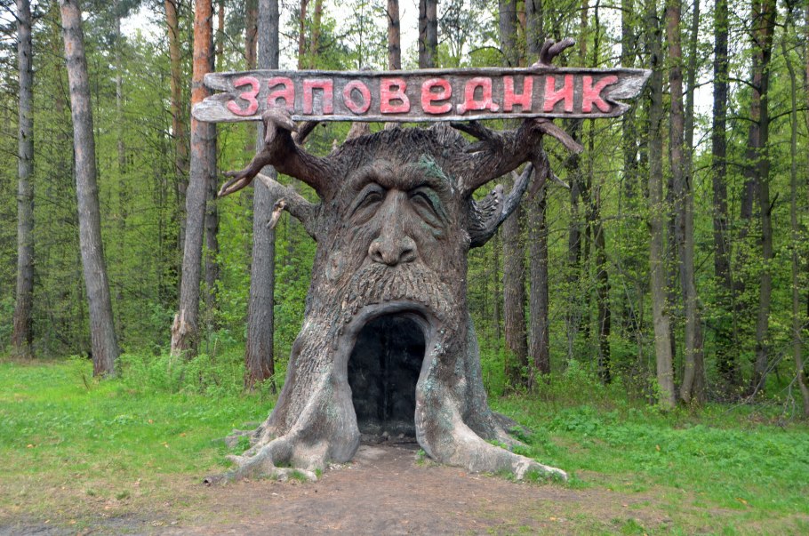 Приокская терраса заповедник