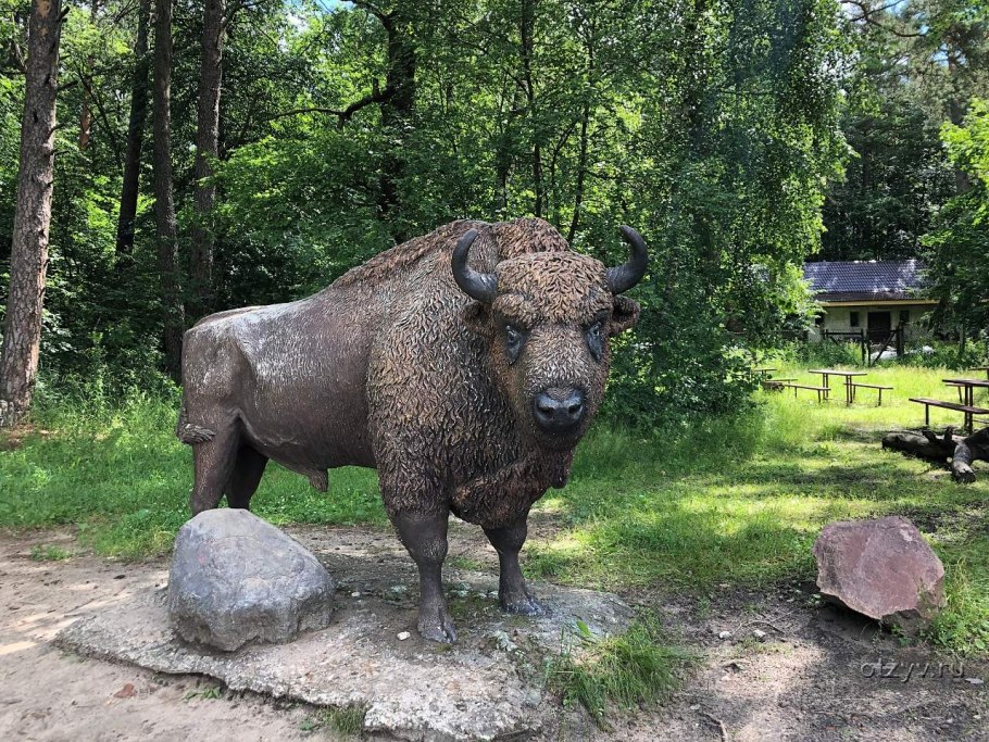 Приокско-Террасный заповедник экскурсовод Алексей